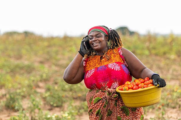 A smiling woman farmer speaking on a phone while carrying a basket of tomatoes